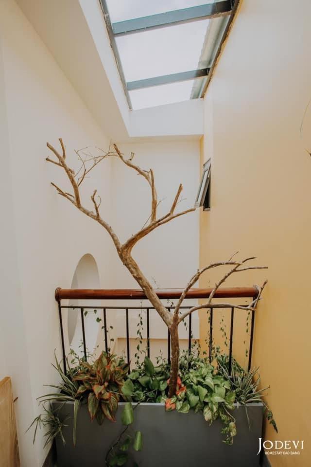Pamela Homestay קאו באנג מראה חיצוני תמונה